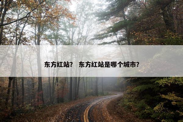 东方红站？ 东方红站是哪个城市？