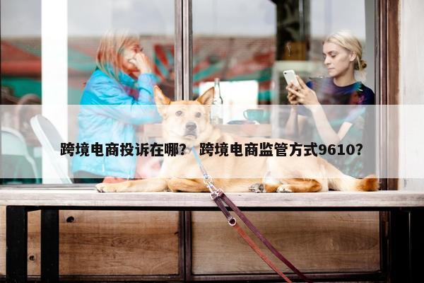 跨境电商投诉在哪？ 跨境电商监管方式9610？