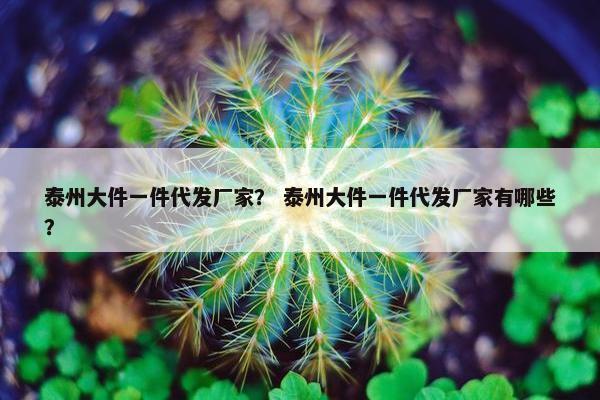 泰州大件一件代发厂家？ 泰州大件一件代发厂家有哪些？