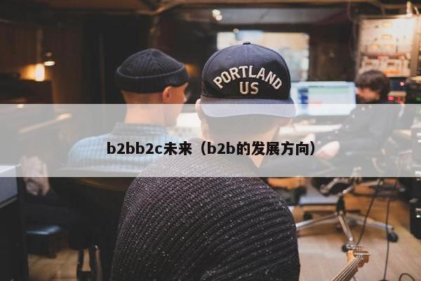 b2bb2c未来（b2b的发展方向）