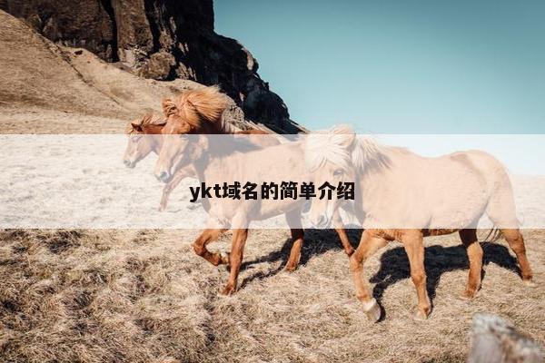 ykt域名的简单介绍
