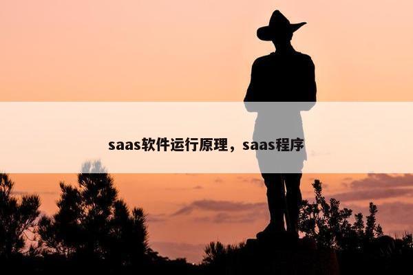 saas软件运行原理，saas程序