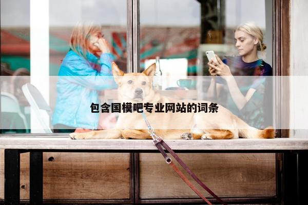 包含国模吧专业网站的词条