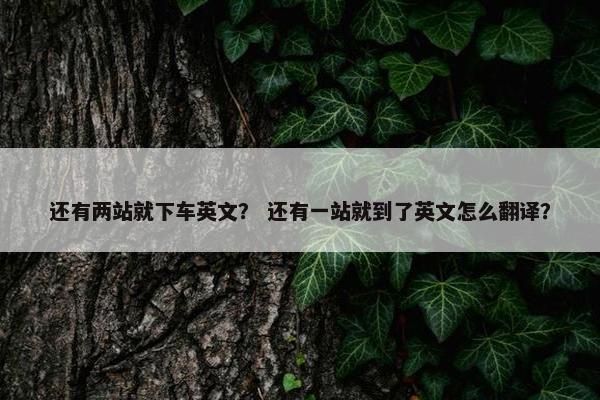 还有两站就下车英文？ 还有一站就到了英文怎么翻译？
