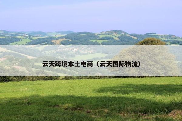 云天跨境本土电商（云天国际物流）