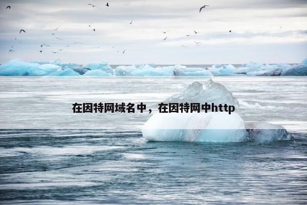 在因特网域名中，在因特网中http
