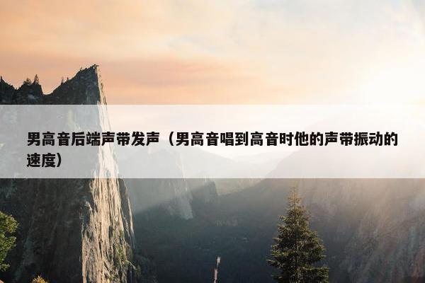 男高音后端声带发声（男高音唱到高音时他的声带振动的速度）
