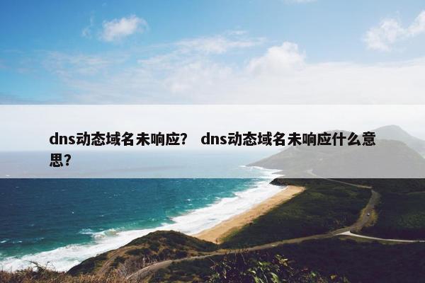 dns动态域名未响应？ dns动态域名未响应什么意思？