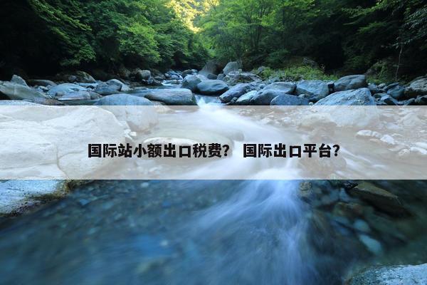 国际站小额出口税费？ 国际出口平台？