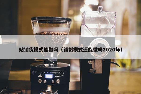站铺货模式能做吗（铺货模式还能做吗2020年）