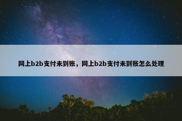 网上b2b支付未到账，网上b2b支付未到账怎么处理