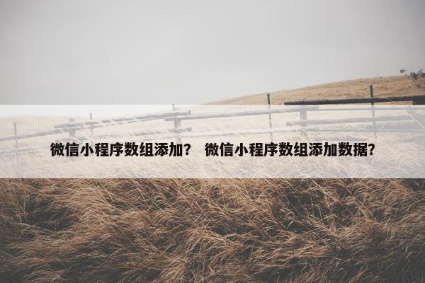 微信小程序数组添加？ 微信小程序数组添加数据？