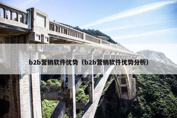 b2b营销软件优势（b2b营销软件优势分析）