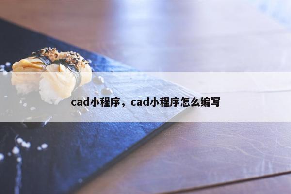 cad小程序，cad小程序怎么编写