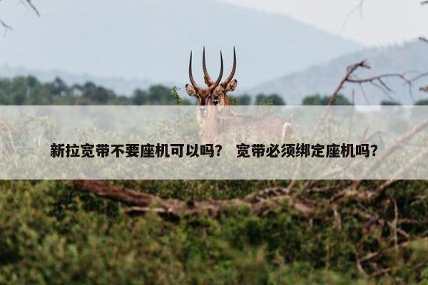 新拉宽带不要座机可以吗？ 宽带必须绑定座机吗？