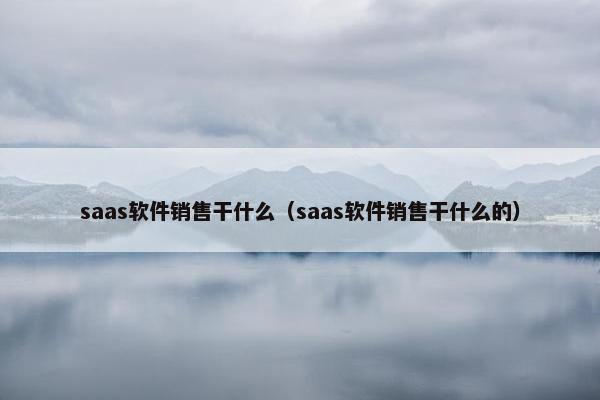 saas软件销售干什么（saas软件销售干什么的）