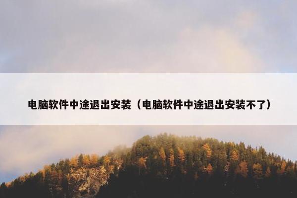 电脑软件中途退出安装（电脑软件中途退出安装不了）