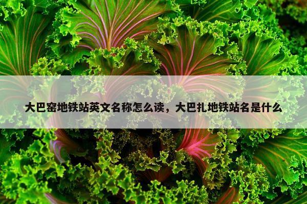大巴窑地铁站英文名称怎么读，大巴扎地铁站名是什么