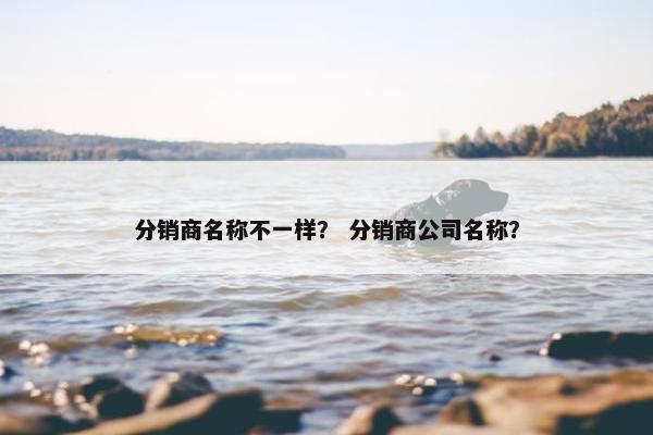 分销商名称不一样？ 分销商公司名称？