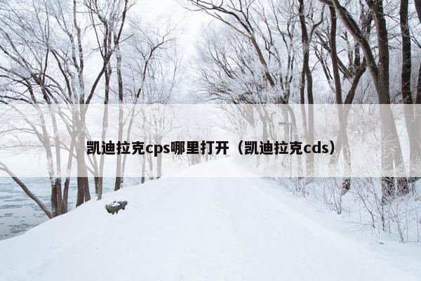 凯迪拉克cps哪里打开（凯迪拉克cds）