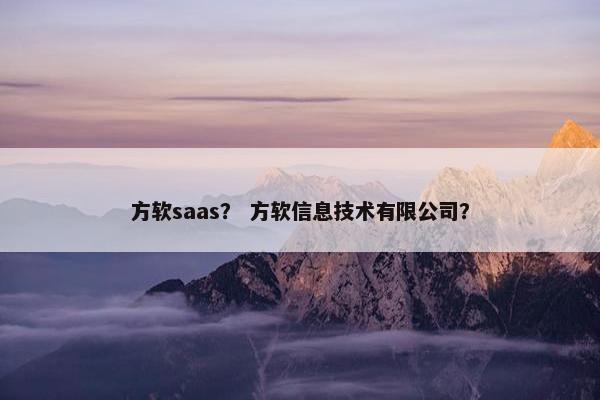 方软saas？ 方软信息技术有限公司？