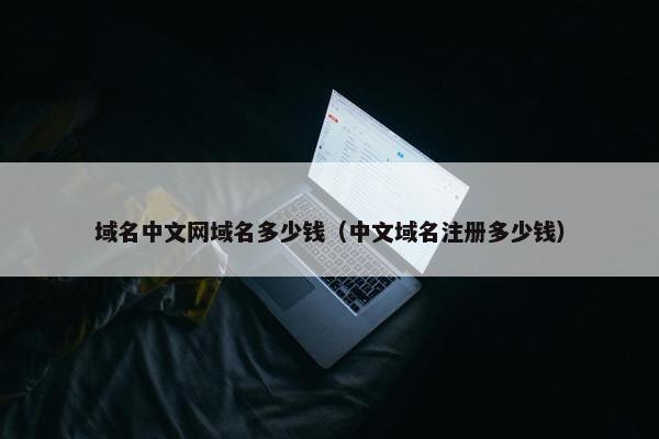 域名中文网域名多少钱（中文域名注册多少钱）