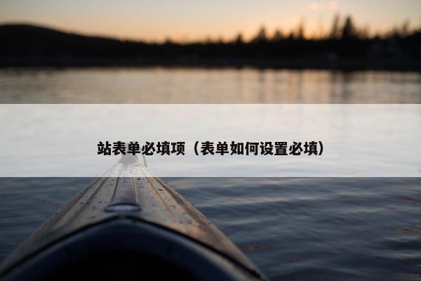 站表单必填项（表单如何设置必填）