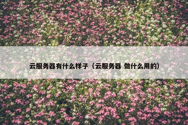 云服务器有什么样子（云服务器 做什么用的）