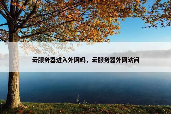 云服务器进入外网吗，云服务器外网访问