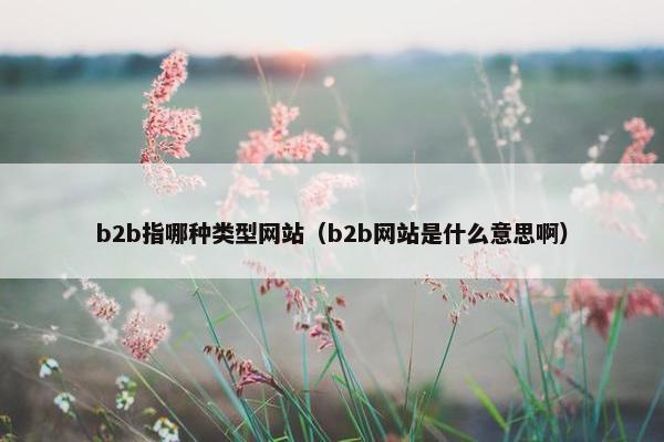 b2b指哪种类型网站（b2b网站是什么意思啊）