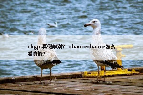 chgpt真假辨别？ chancechance怎么看真假？