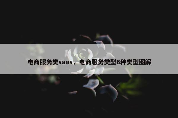 电商服务类saas，电商服务类型6种类型图解