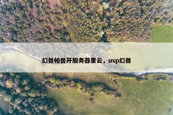 幻兽帕兽开服务器里云，usp幻兽