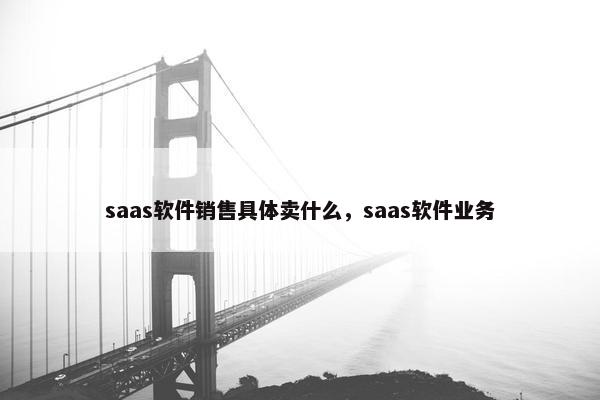 saas软件销售具体卖什么，saas软件业务