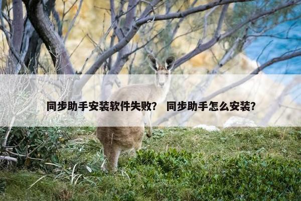 同步助手安装软件失败？ 同步助手怎么安装？