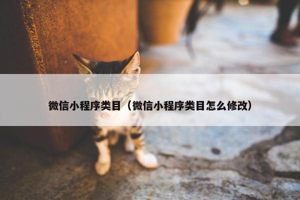 微信小程序类目（微信小程序类目怎么修改）