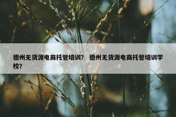 德州无货源电商托管培训？ 德州无货源电商托管培训学校？
