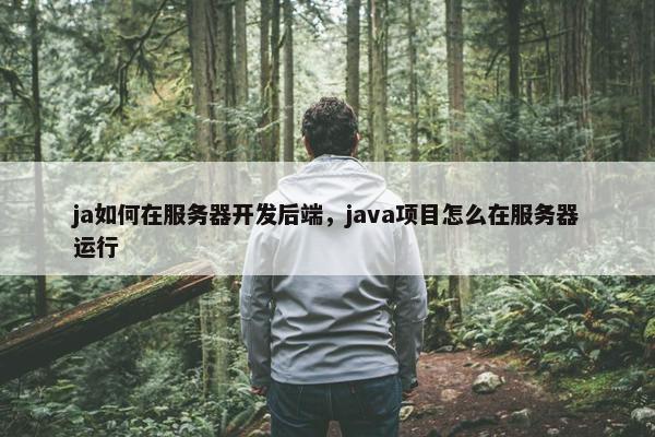 ja如何在服务器开发后端，java项目怎么在服务器运行