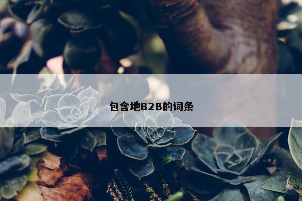 包含地B2B的词条