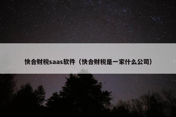 快合财税saas软件（快合财税是一家什么公司）