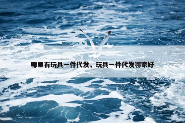 哪里有玩具一件代发，玩具一件代发哪家好