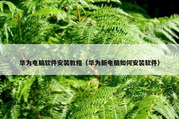 华为电脑软件安装教程（华为新电脑如何安装软件）