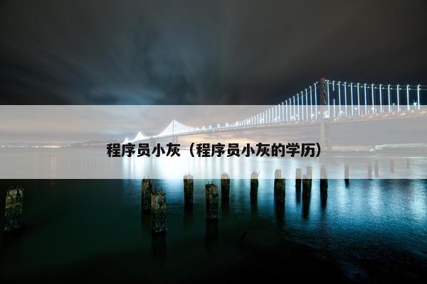 程序员小灰（程序员小灰的学历）