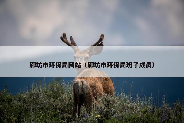 廊坊市环保局网站（廊坊市环保局班子成员）
