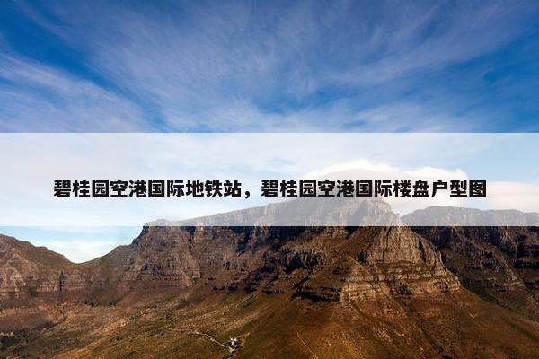 碧桂园空港国际地铁站，碧桂园空港国际楼盘户型图
