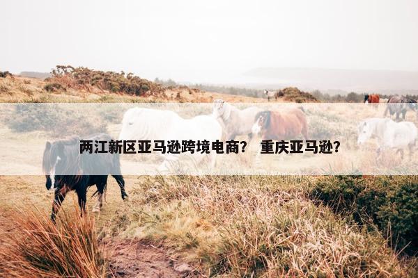 两江新区亚马逊跨境电商？ 重庆亚马逊？