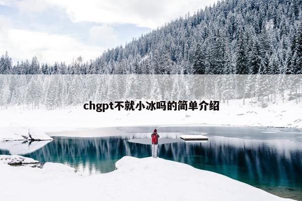 chgpt不就小冰吗的简单介绍