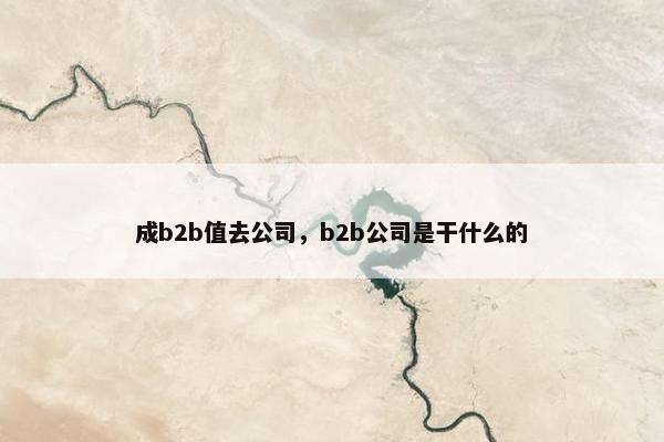 成b2b值去公司，b2b公司是干什么的