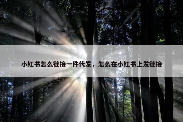 小红书怎么链接一件代发，怎么在小红书上发链接