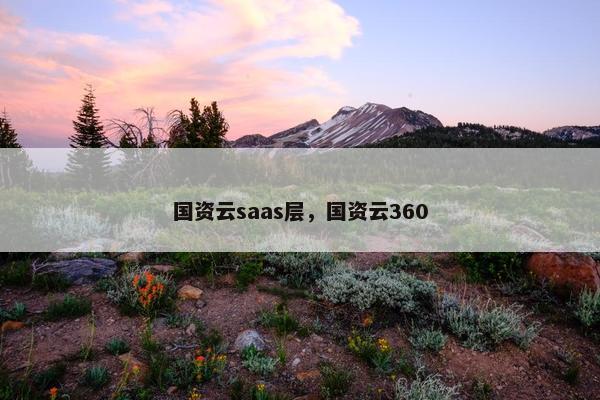 国资云saas层，国资云360